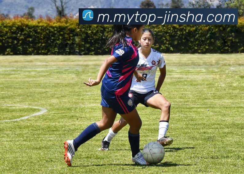 澳门金沙官网平台生态图